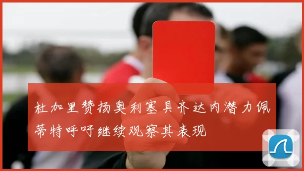 杜加里赞扬奥利塞具齐达内潜力佩蒂特呼吁继续观察其表现