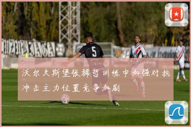 沃尔夫斯堡张稀哲训练中加强对抗冲击主力位置竞争加剧