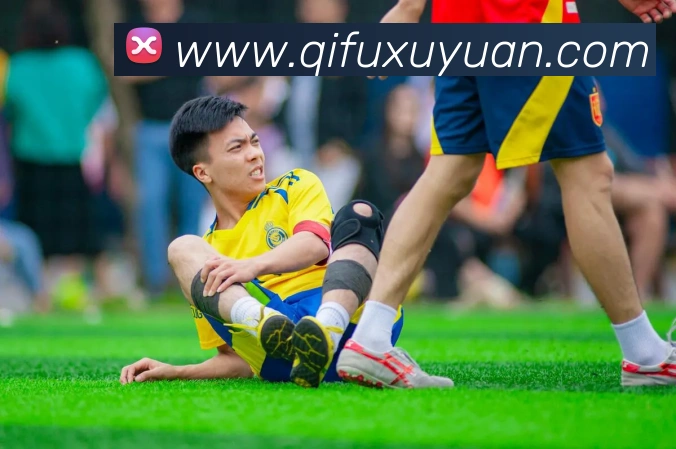 爱游戏体育最新官网APP 封面图